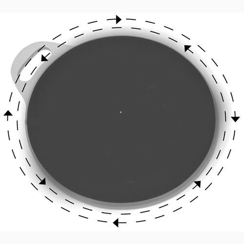 Safetysure Transfer/pivot Disc 15